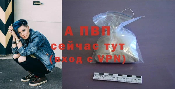 гашик Нефтекумск