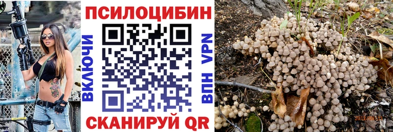 Псилоцибиновые грибы мицелий  Островной 